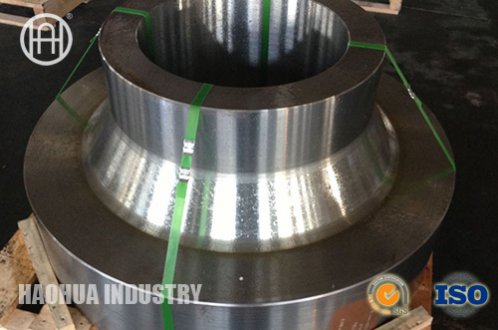 S31803 Forged Flange